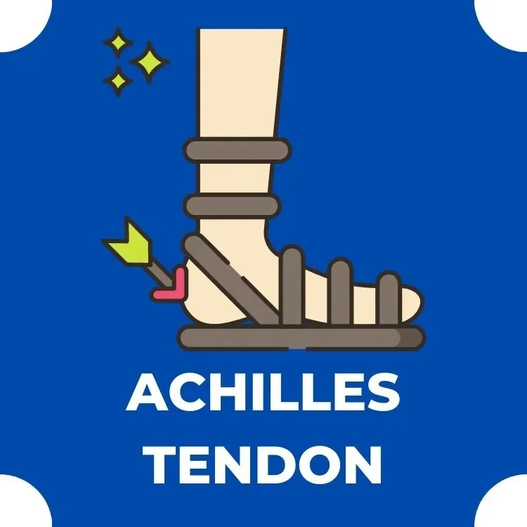 Achilles Tendon