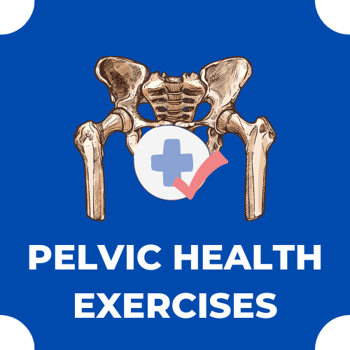 Pelvic Health Exercise