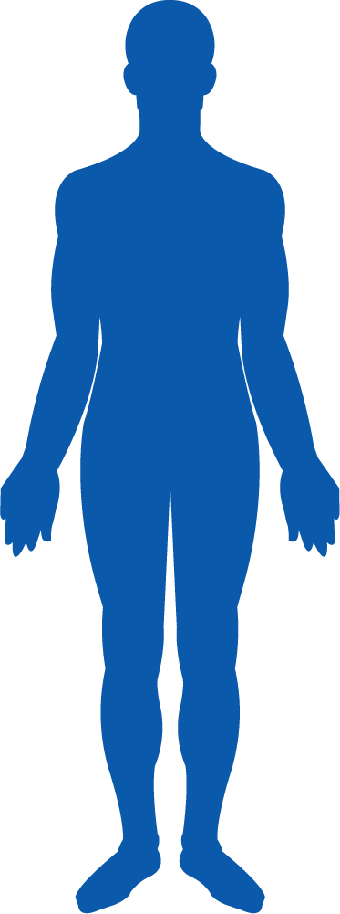 human-body-1