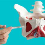 Pelvic-organ-prolapse-pelvic-health-womens-health-physiotherapy-pelvic-floor-etobicoke-mississauga-clarkson-oakville-toronto