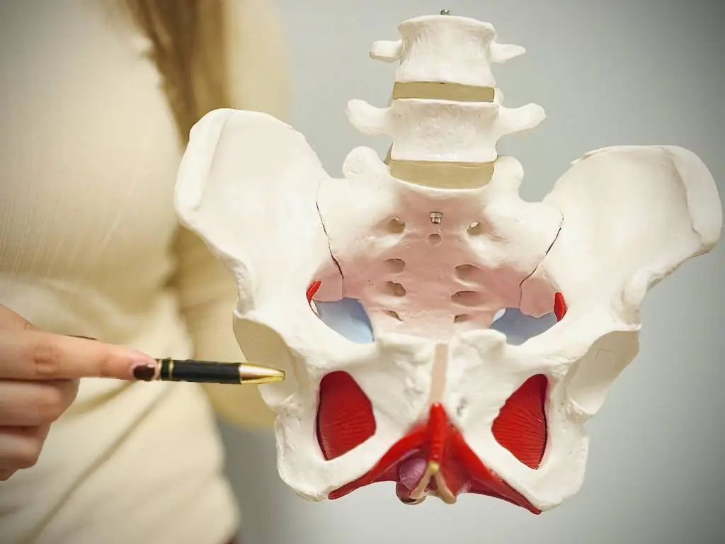 Pelvic Floor Muscle Tightness